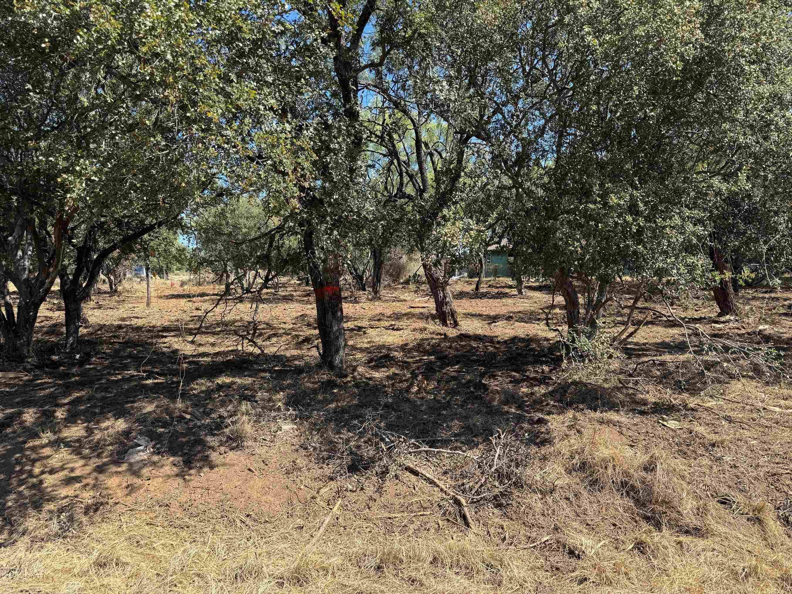Lots 290 & 291 Maple, Granite Shoals, TX 78654