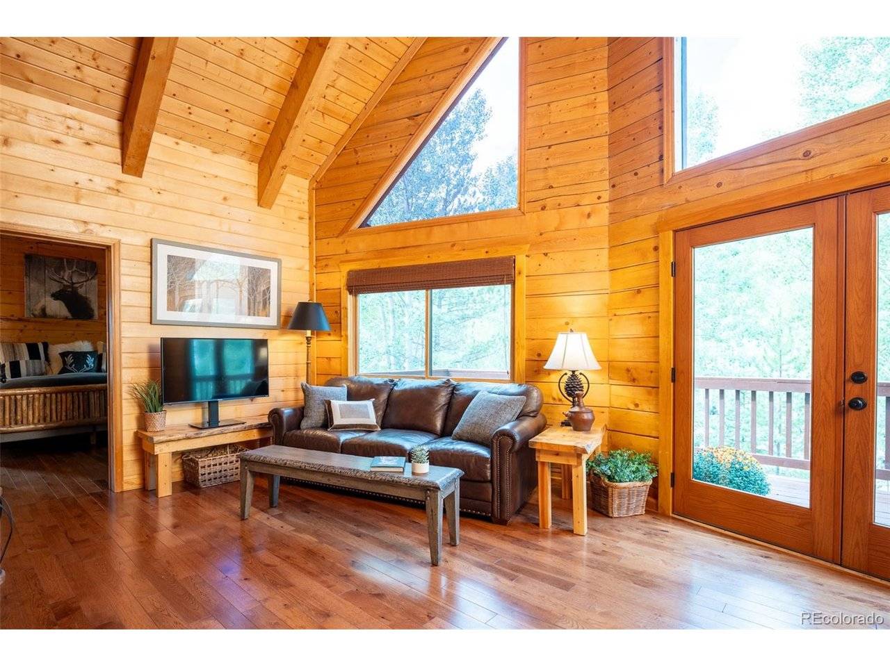186 Spring Beauty, Silverthorne, CO 80498