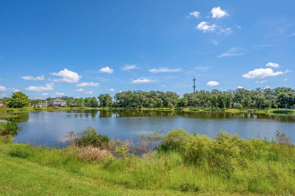 5412 CAMBERWELL LN, Riverview, FL 33578
