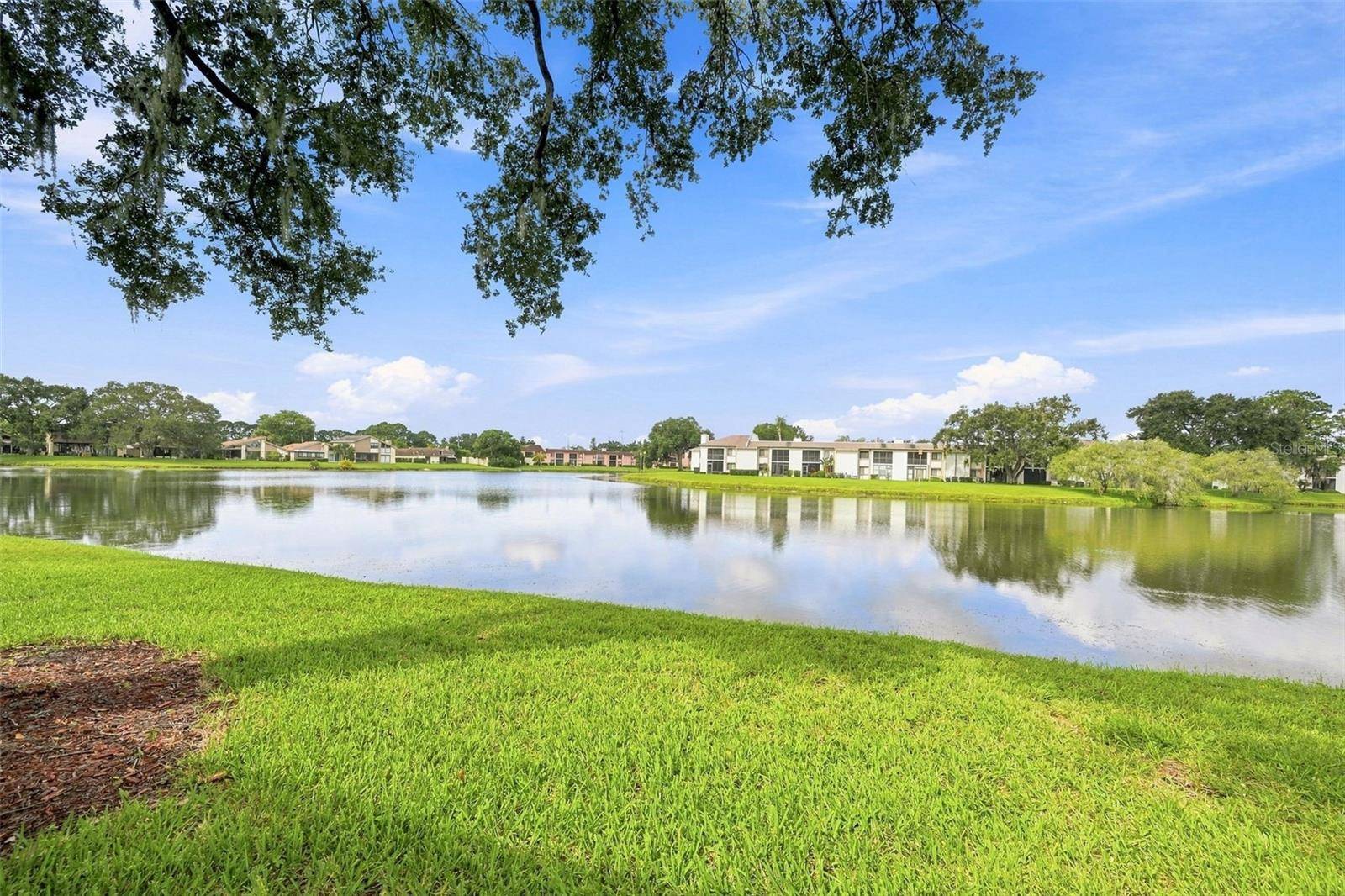 221 NINA WAY #61, Oldsmar, FL 34677