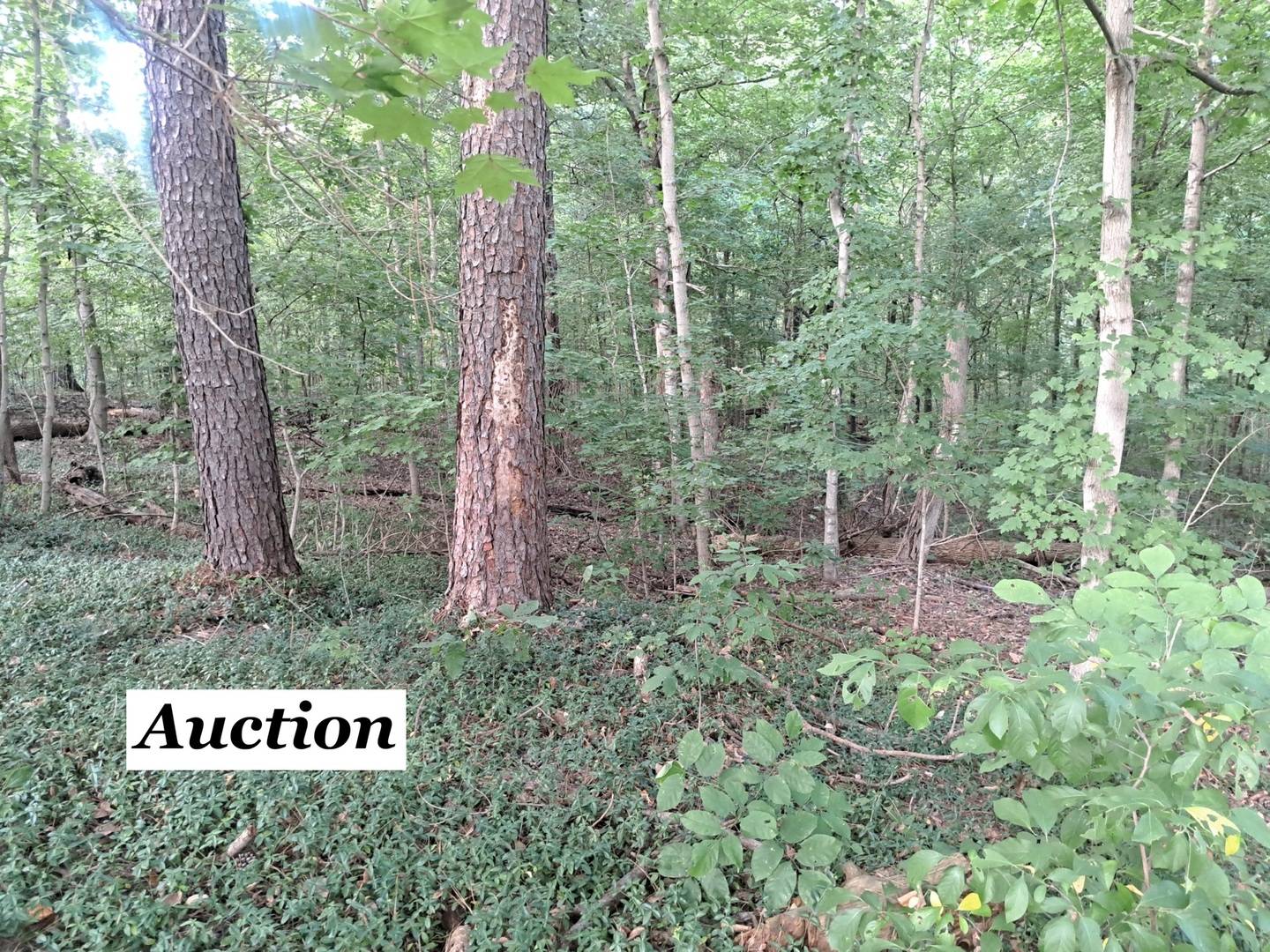 3952 & 4013 DEVILS FORK RD, Carbondale, IL 62901