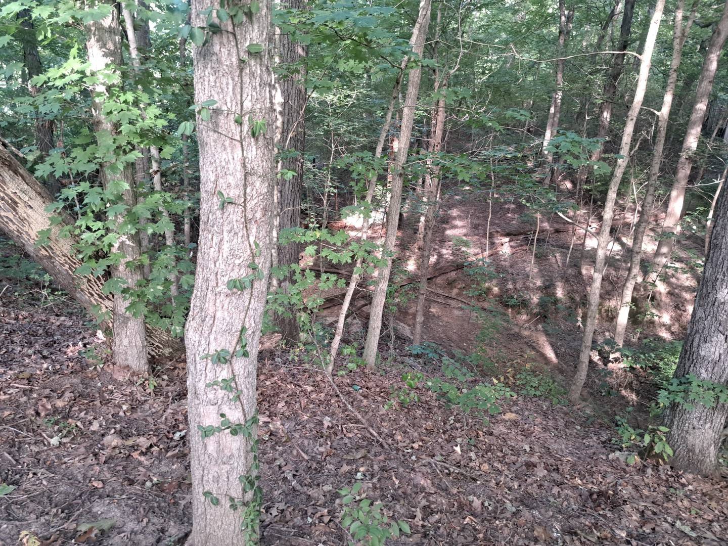 3952 & 4013 DEVILS FORK RD, Carbondale, IL 62901