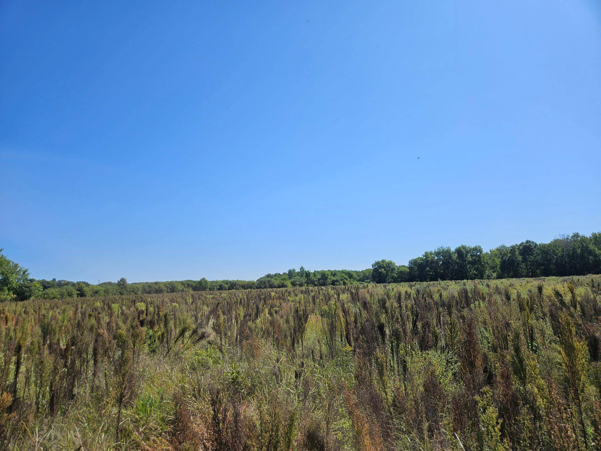 xxxx 313th AVE, Princeton, MN 55371