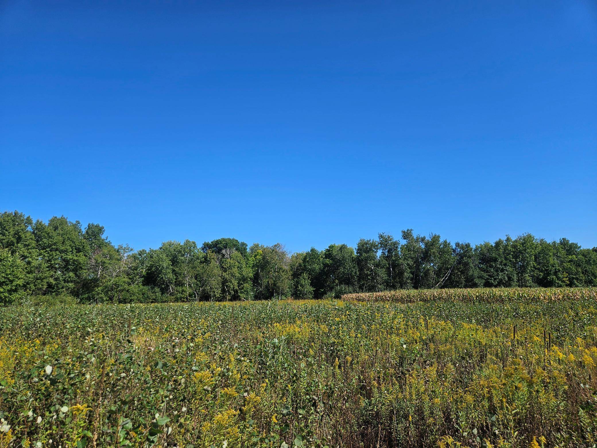 xxxx 313th AVE, Princeton, MN 55371