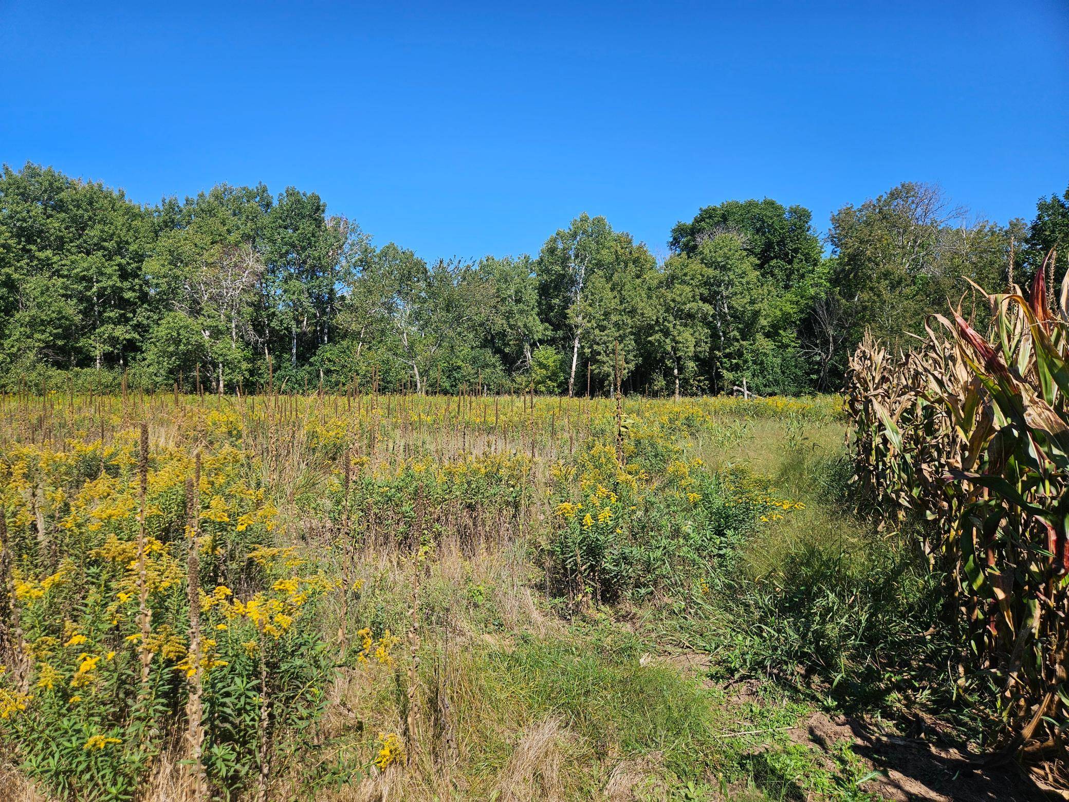 xxxx 313th AVE, Princeton, MN 55371
