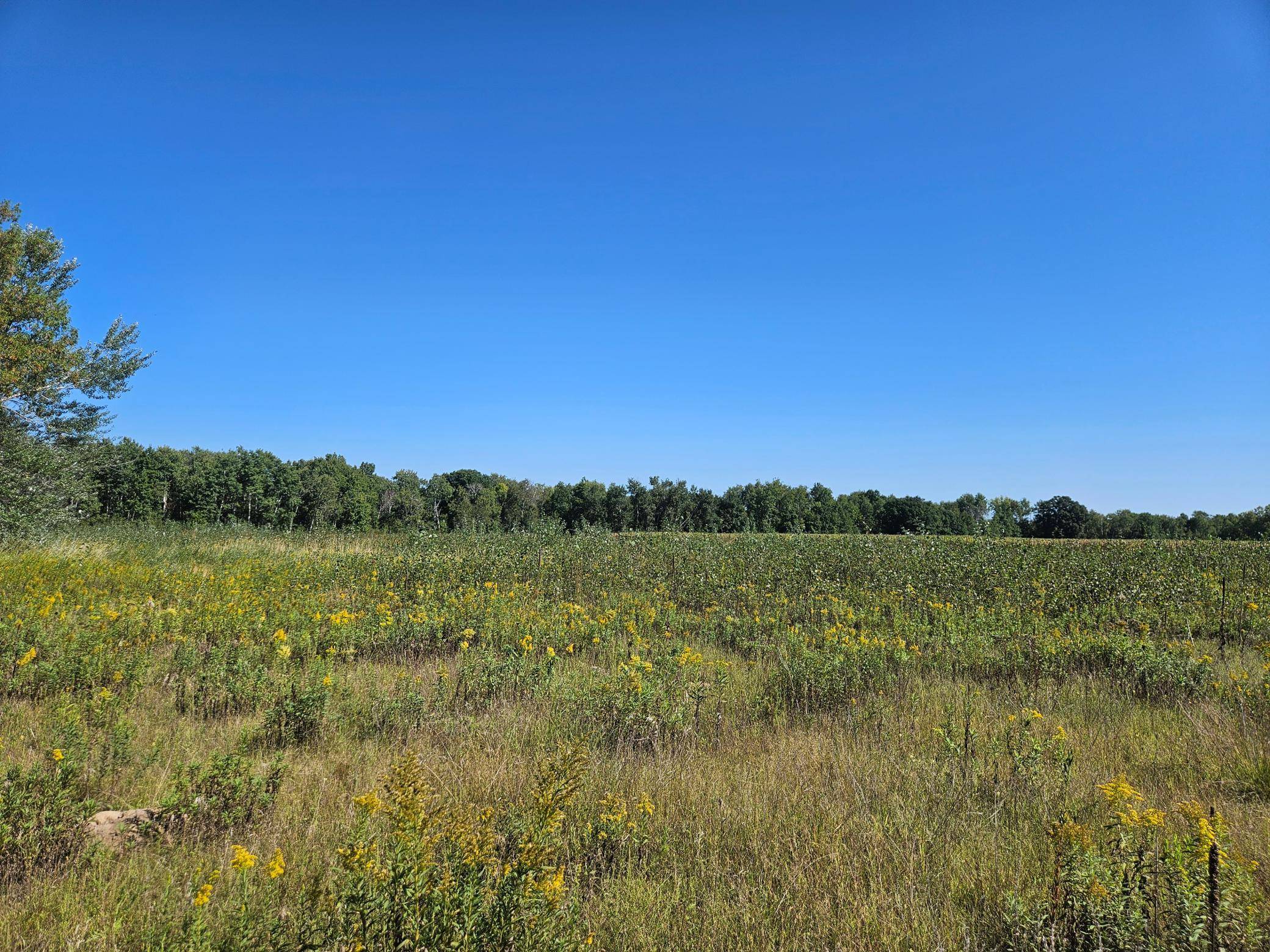 xxxx 313th AVE, Princeton, MN 55371