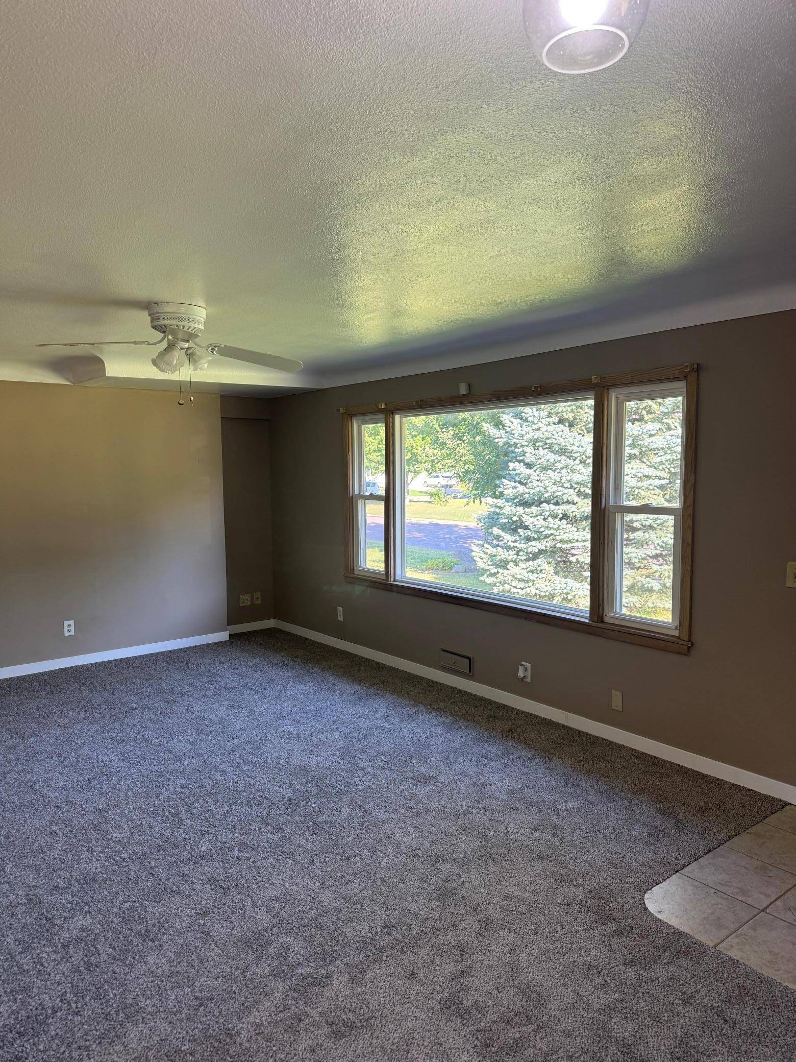 435 W Ottawa ST, Le Center, MN 56057