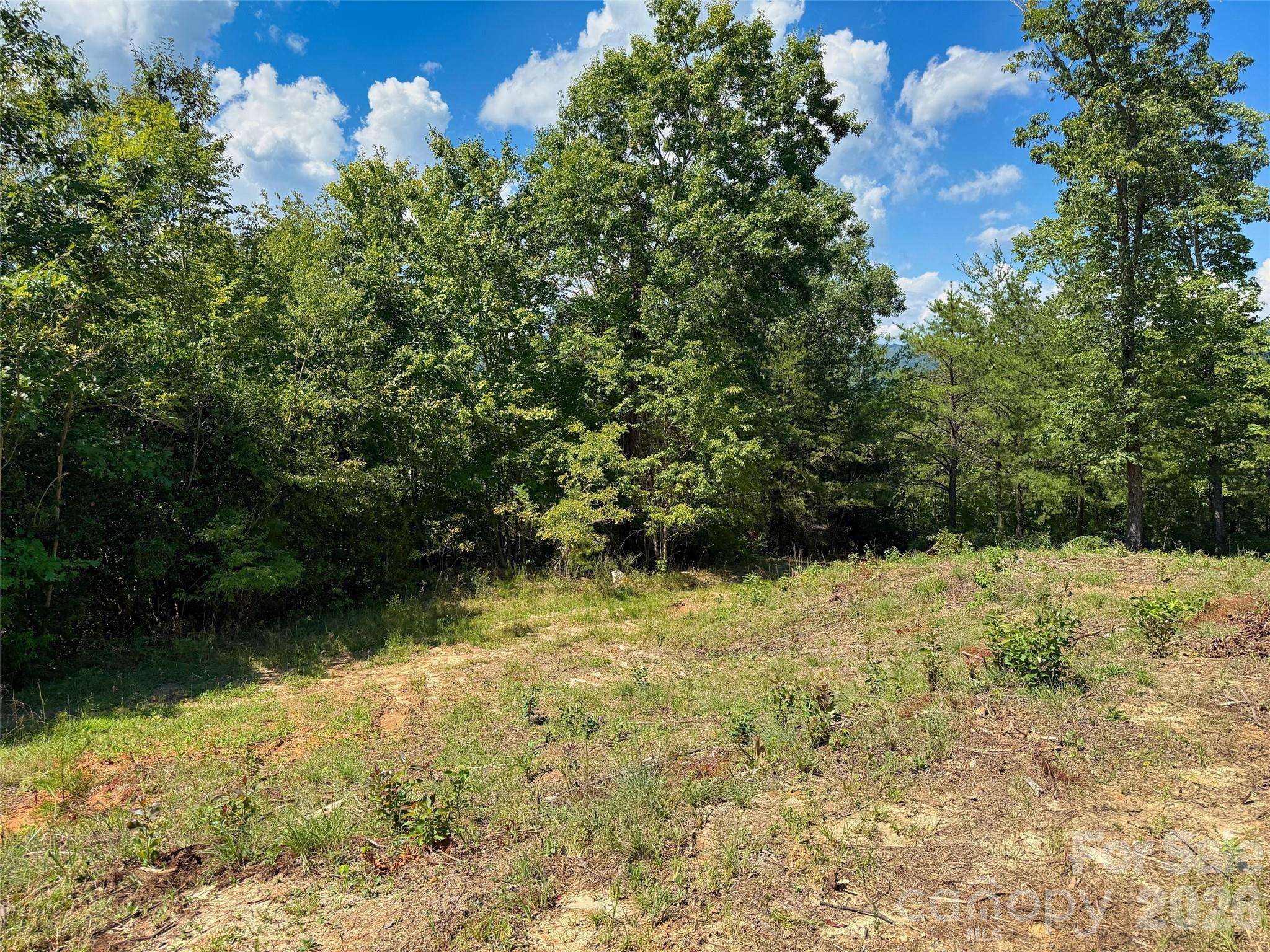 5 Hibiscus CT #5, Lake Lure, NC 28746