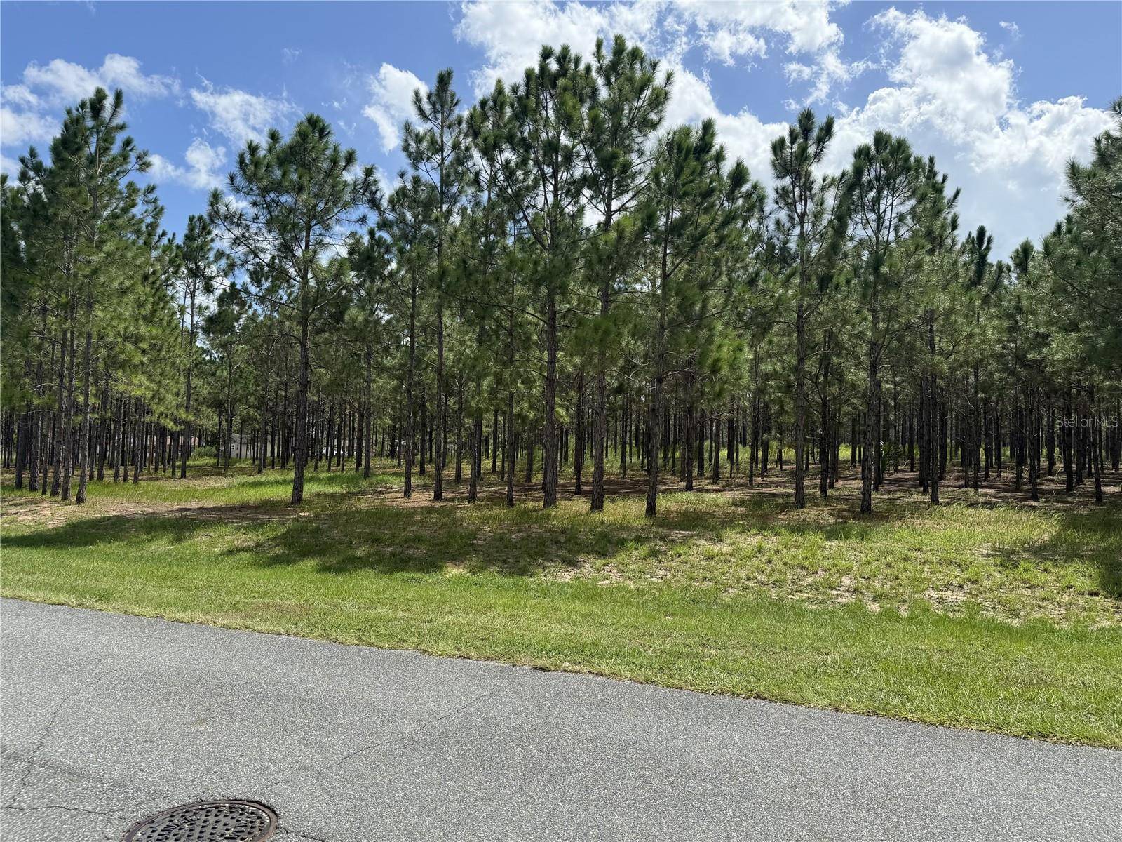 535 CLEAR RD, Ocala, FL 34472