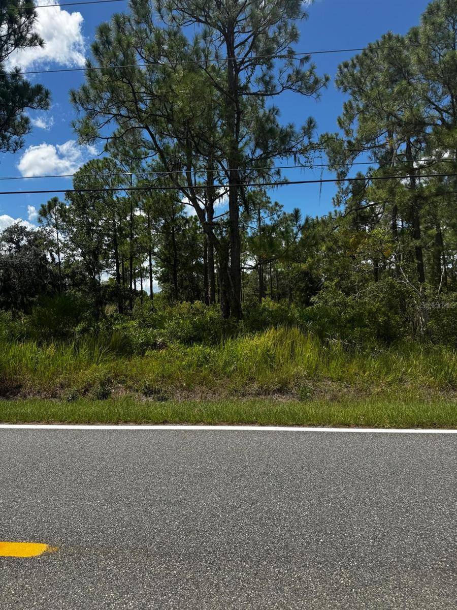 MCCLELLAN RD #6, Frostproof, FL 33843