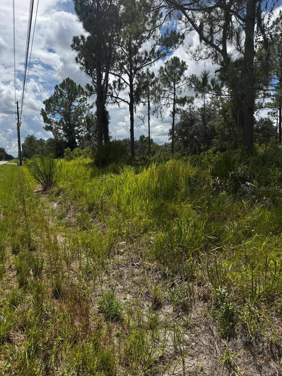 MCCLELLAN RD #6, Frostproof, FL 33843
