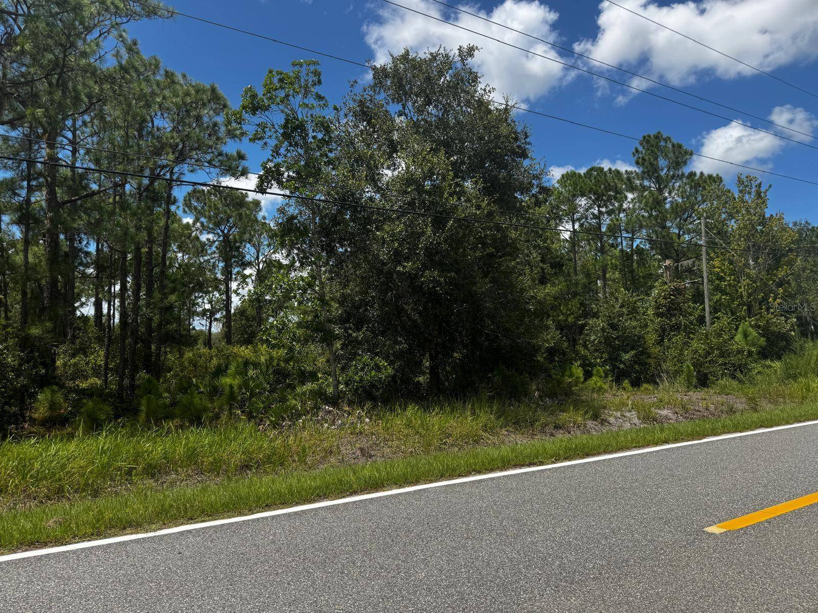 MCCLELLAN RD #49, Frostproof, FL 33843
