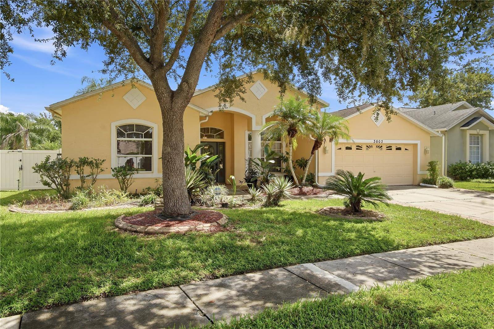 3803 GRAND FORKS DR, Land O Lakes, FL 34639