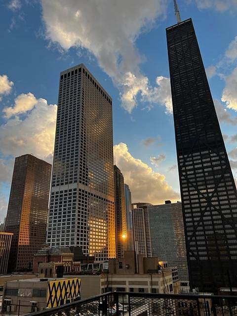 253 E Delaware PL #4C, Chicago, IL 60611
