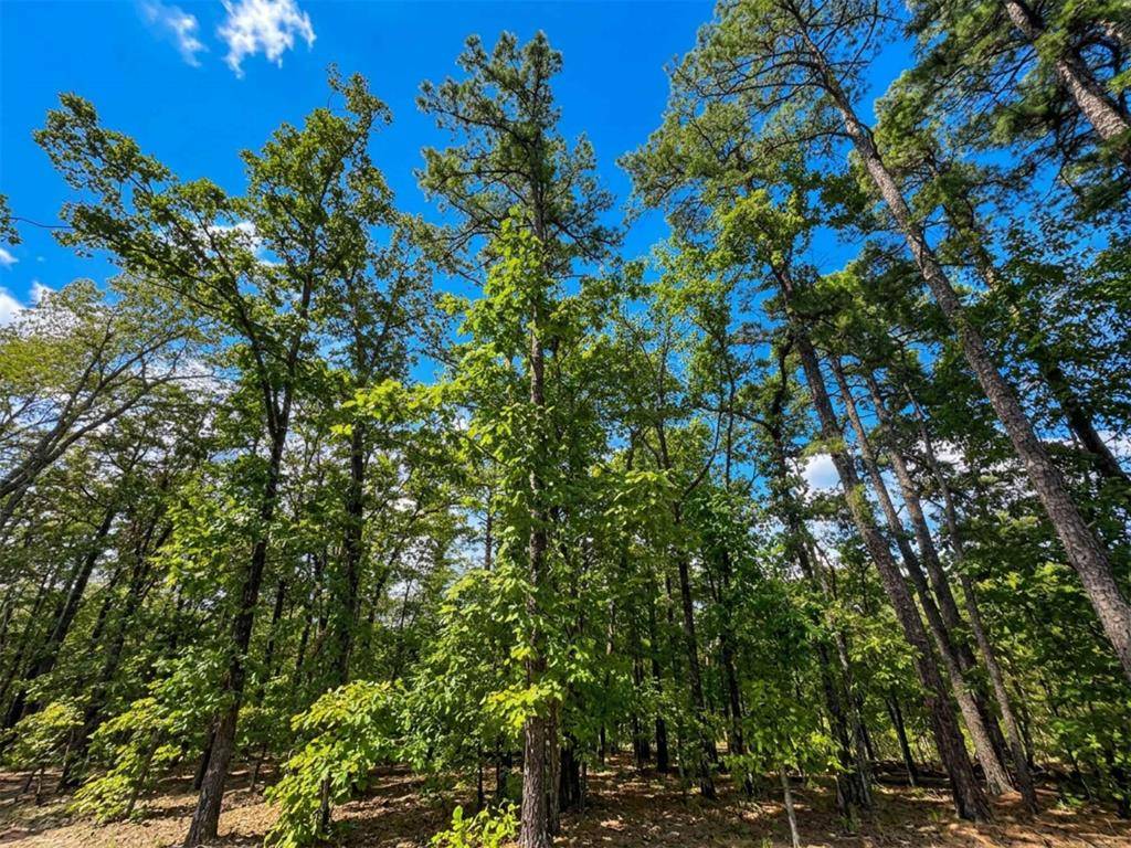 1054 Carter Mountain TRL, Broken Bow, OK 74728