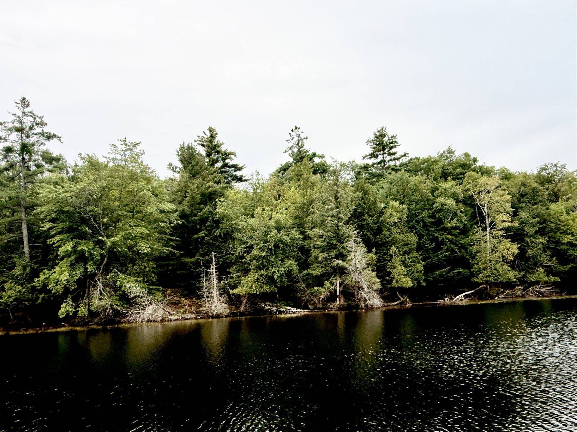 375 Peninsula RD, Muskoka Lakes, ON P0B 1J0