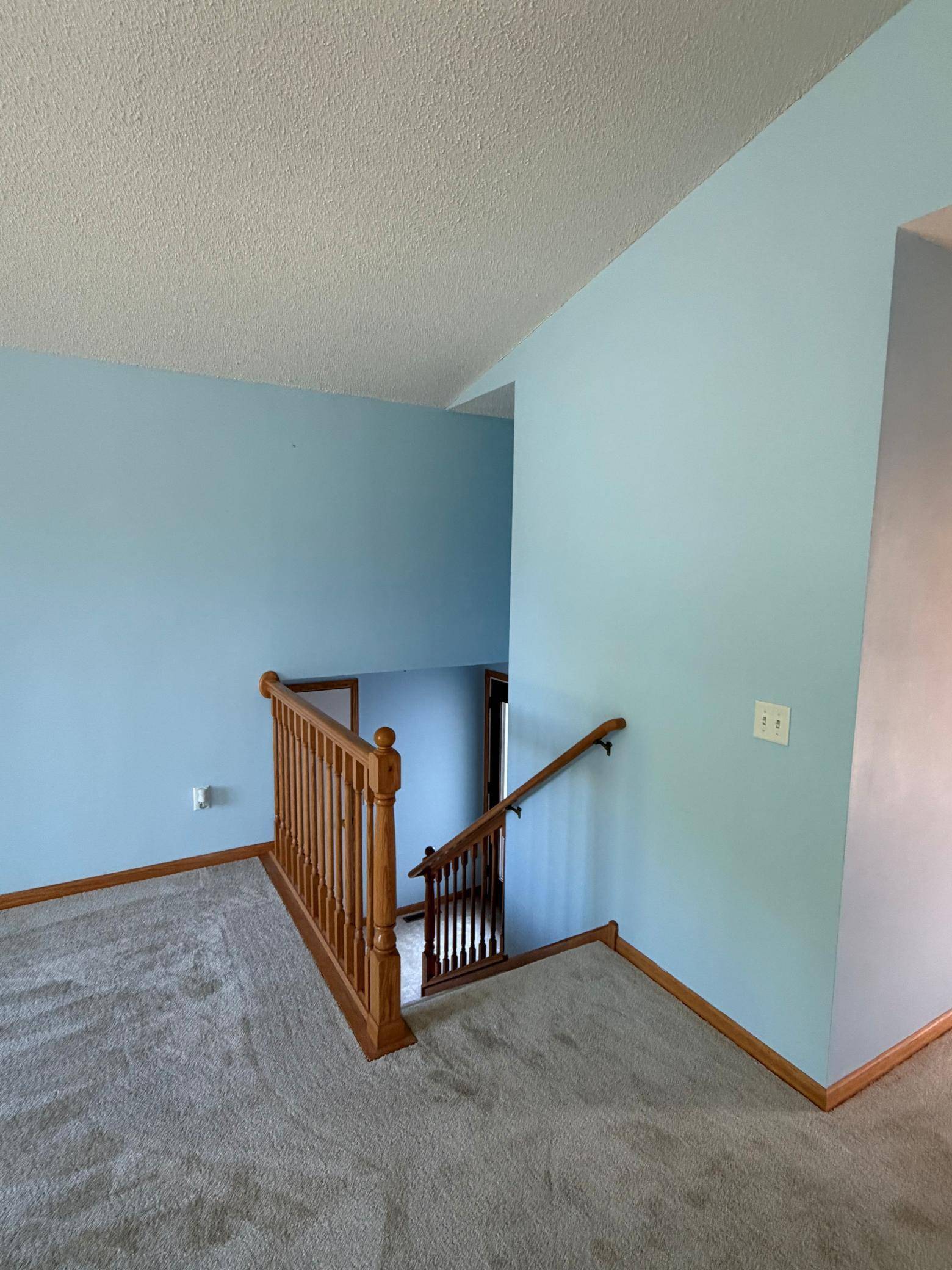 230 Dale CIR, Green Isle, MN 55338
