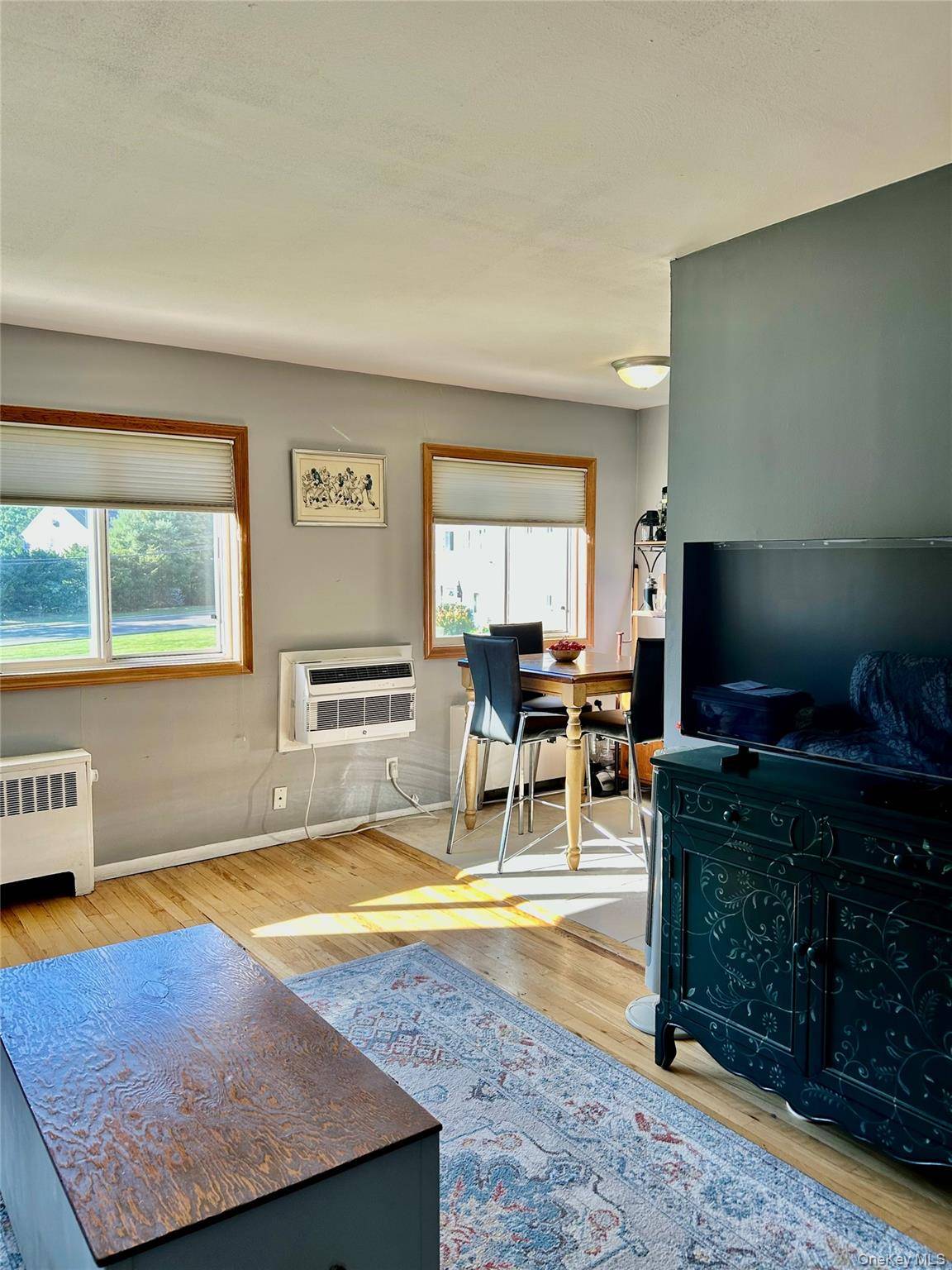 355 Route 111 Unit #30 Route 111 #30, Smithtown, NY 11787