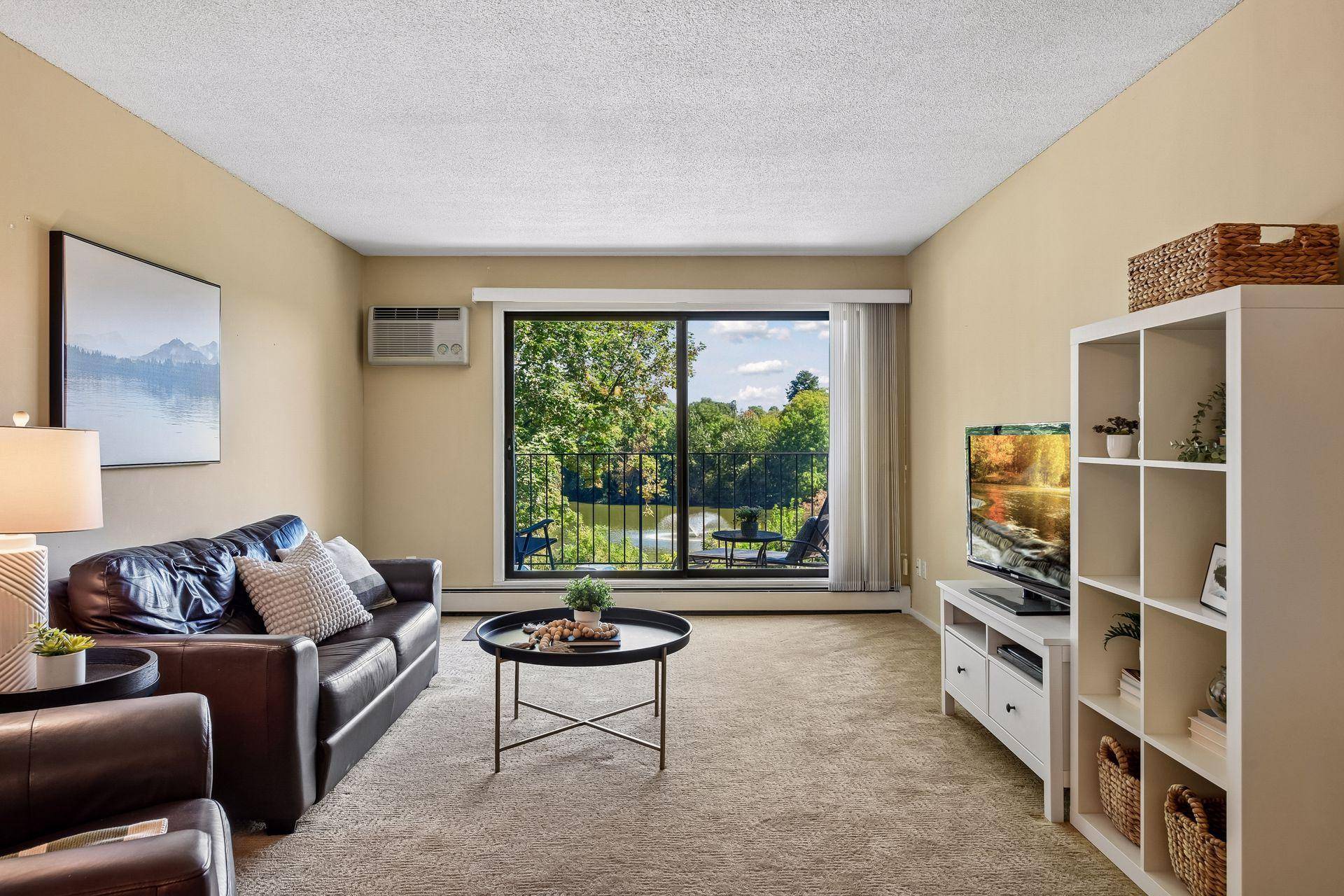 215 Barry AVE S #217, Wayzata, MN 55391