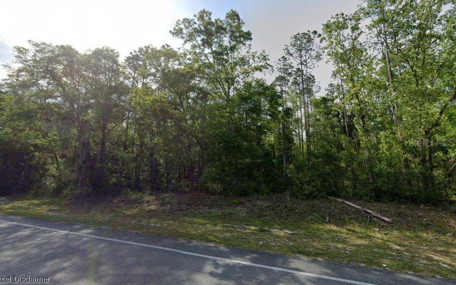 NE HWY 351, Old Town, FL 32680