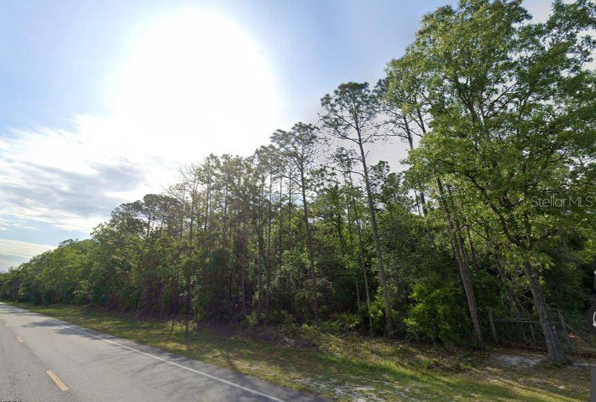 NE HWY 351, Old Town, FL 32680
