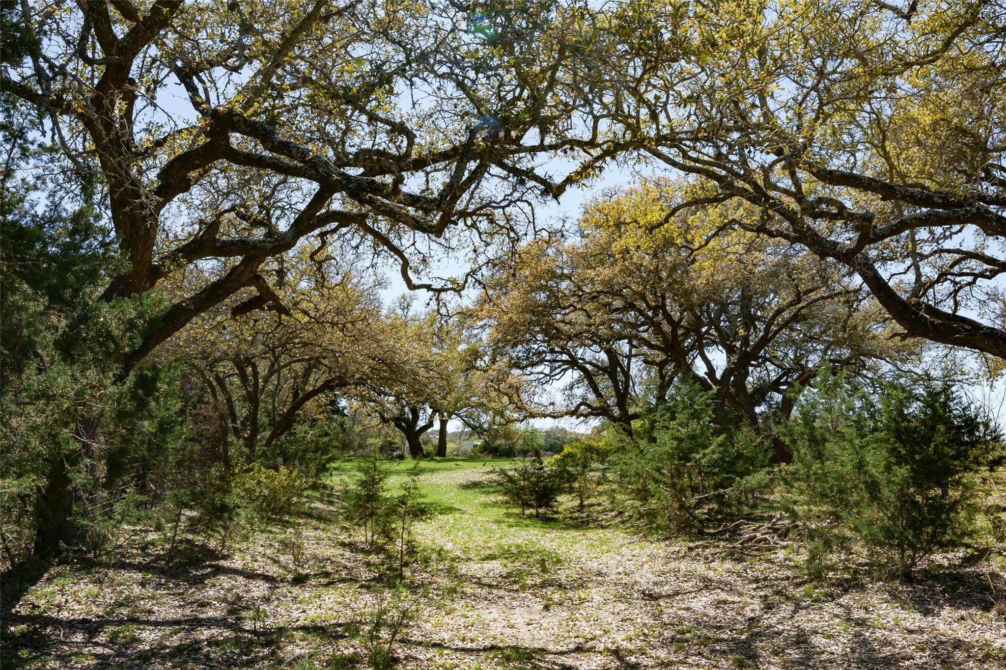 1440 Stone Ridge Mountain DR, Round Mountain, TX 78663
