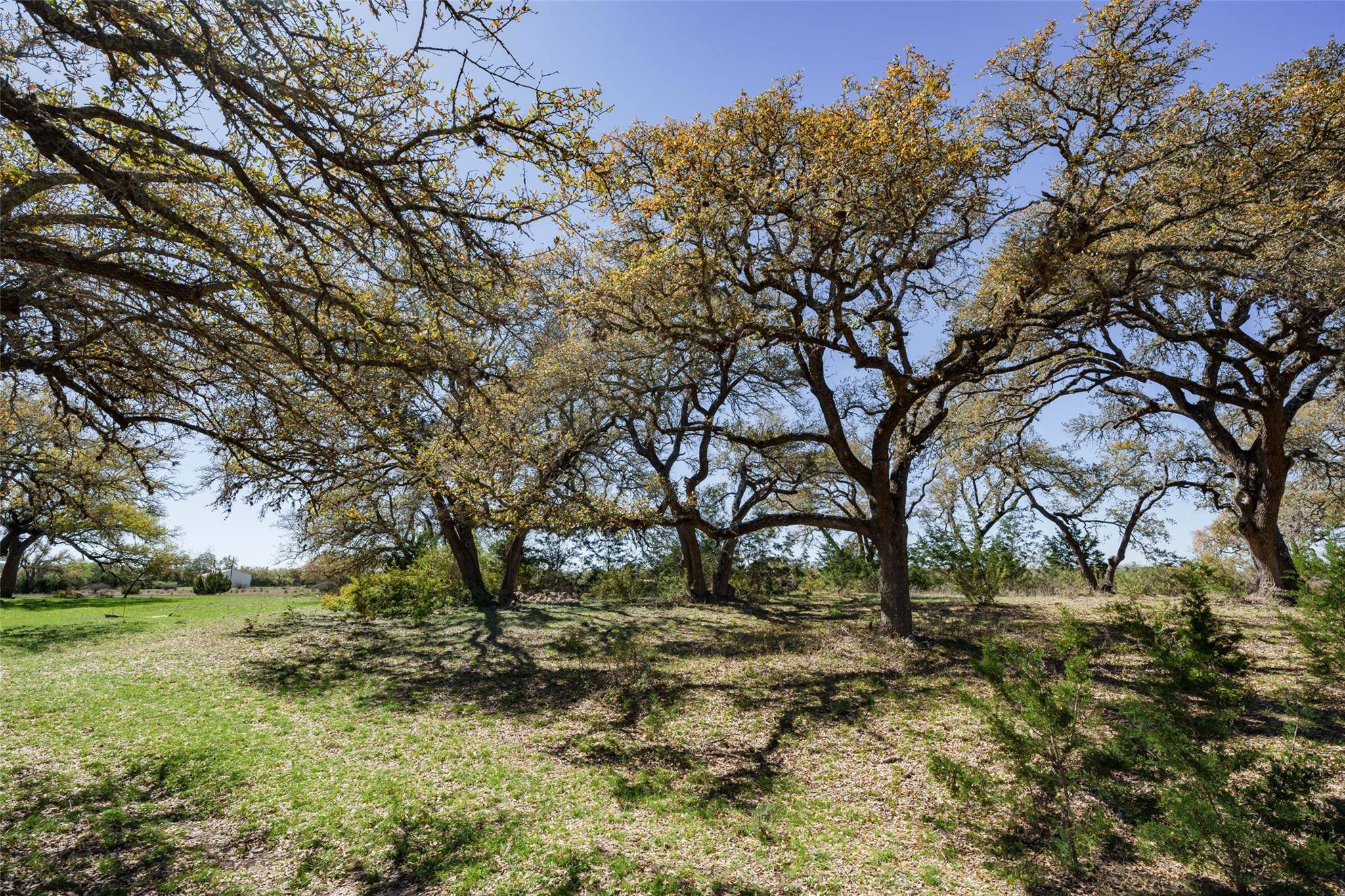 1440 Stone Ridge Mountain DR, Round Mountain, TX 78663