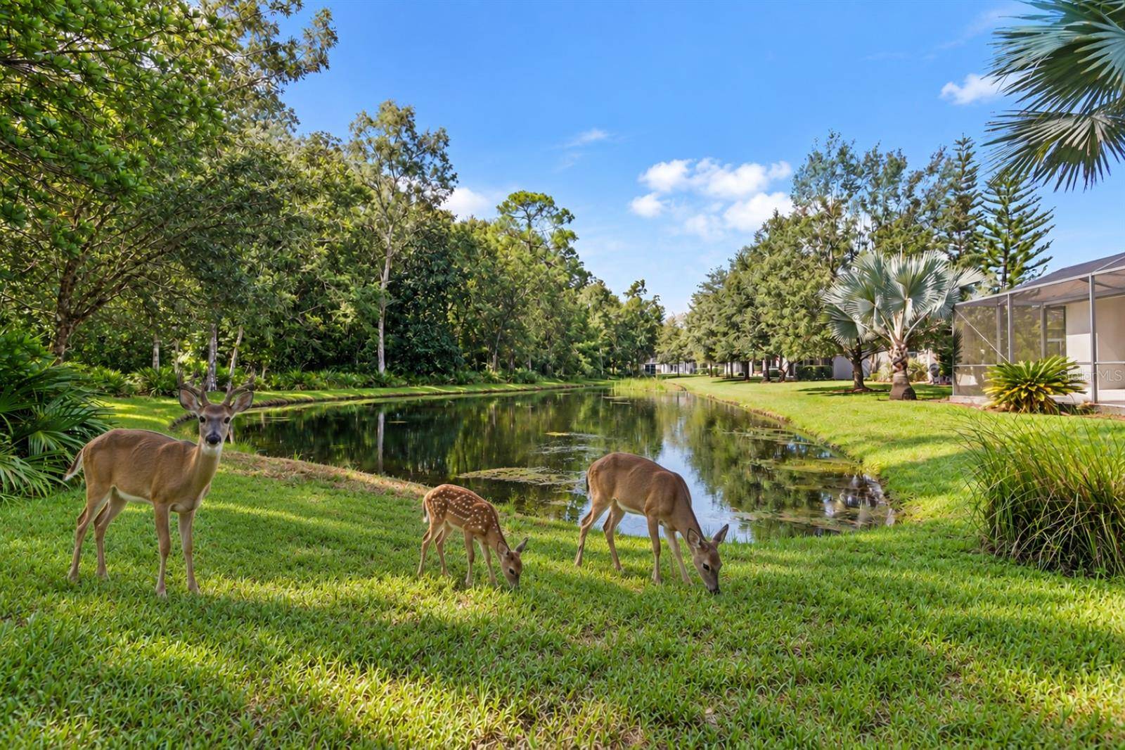 11438 MERGANSER WAY, New Port Richey, FL 34654