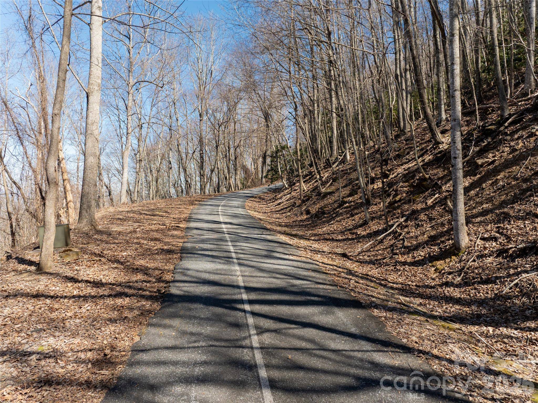 99999 Laurel DR #12&13, Mills River, NC 28759