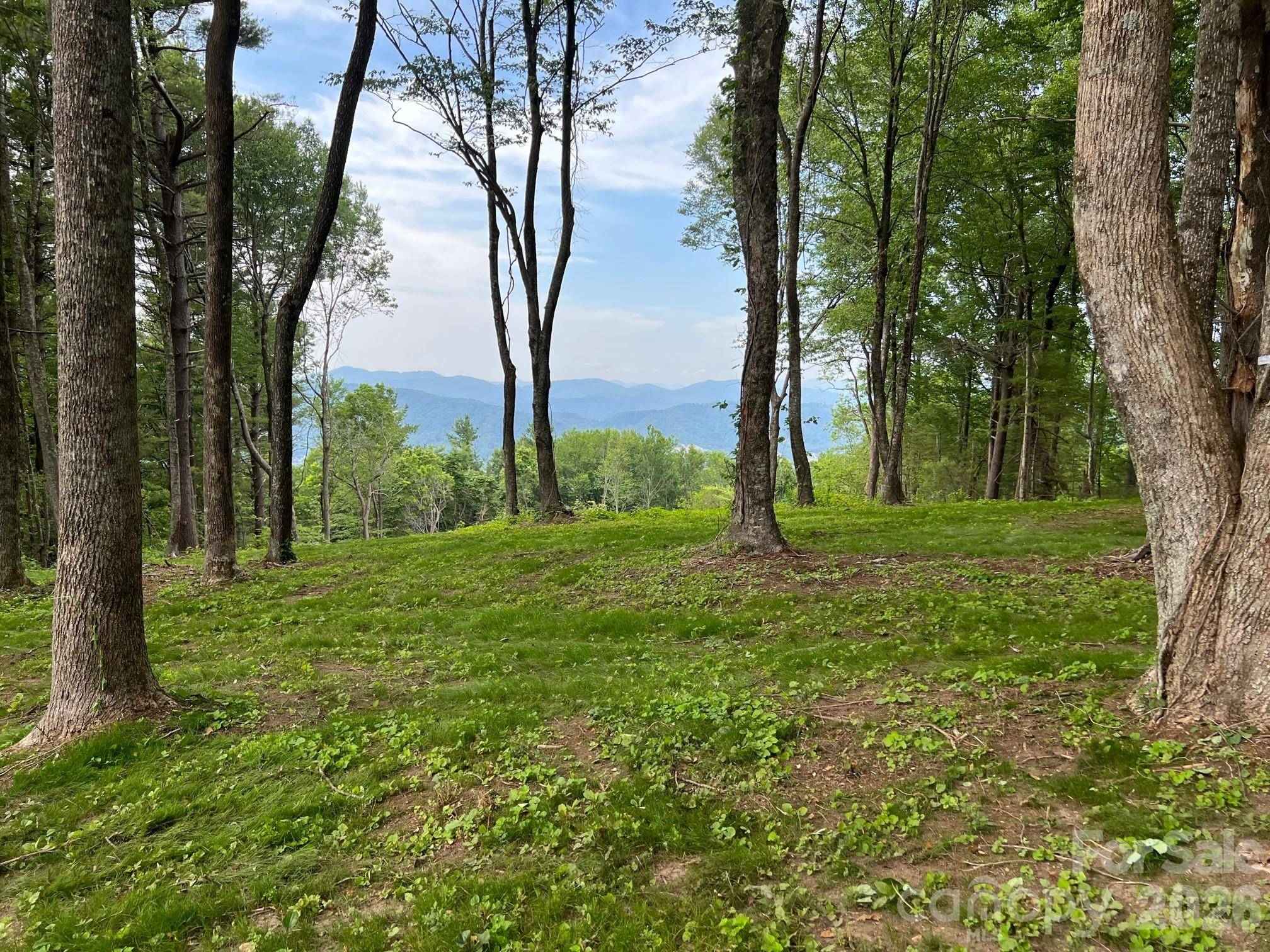 TBD East Garden TRL #18, Hendersonville, NC 28792