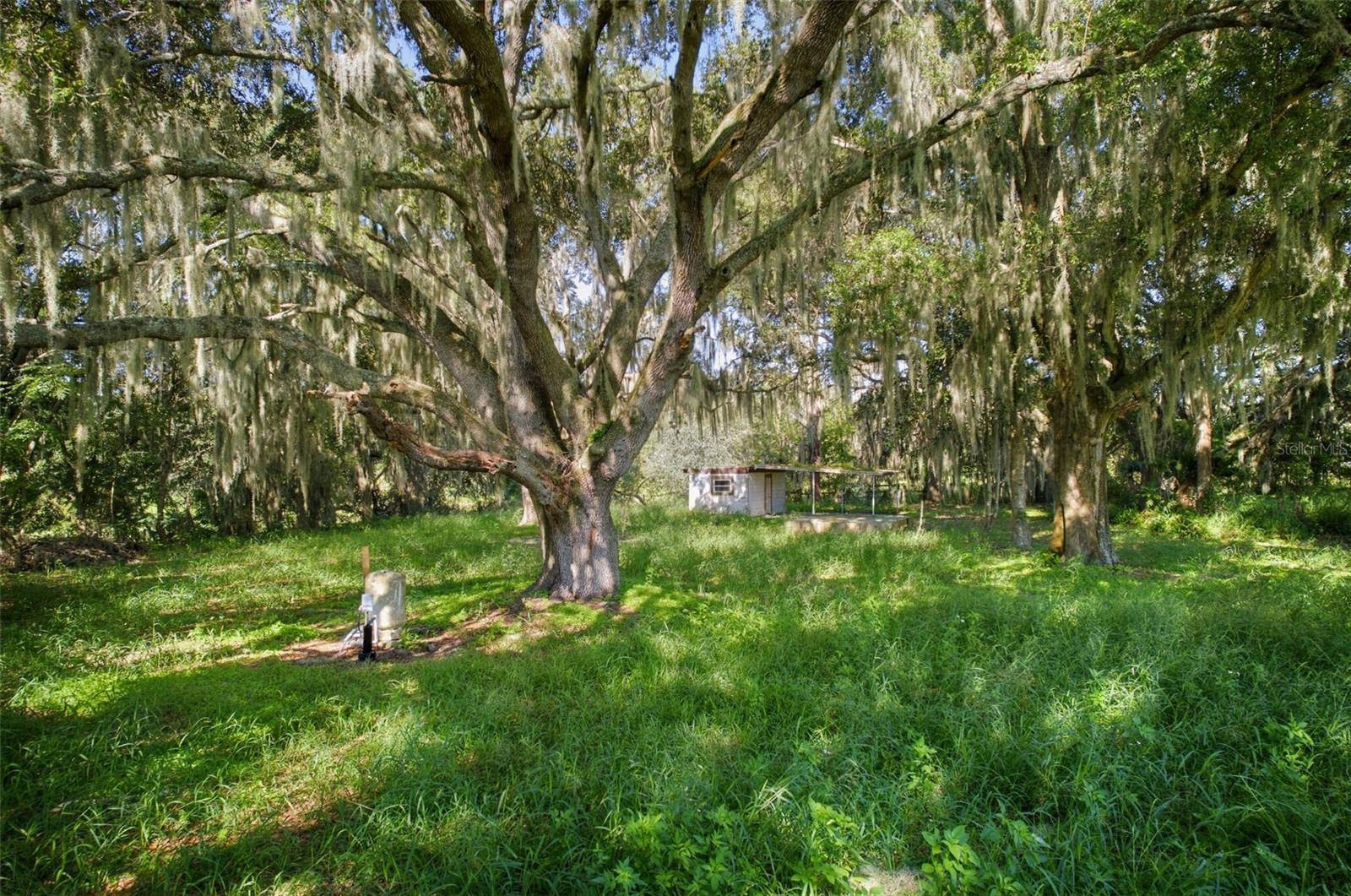 32922 N WHITNEY RD, Leesburg, FL 34748