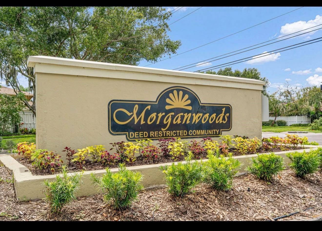 7310 BAJA CT, Tampa, FL 33634