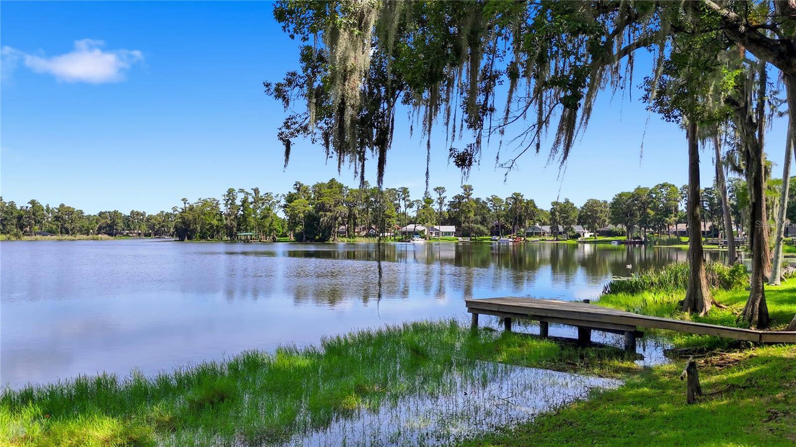 703 CRYSTAL LAKE RD, Lutz, FL 33548