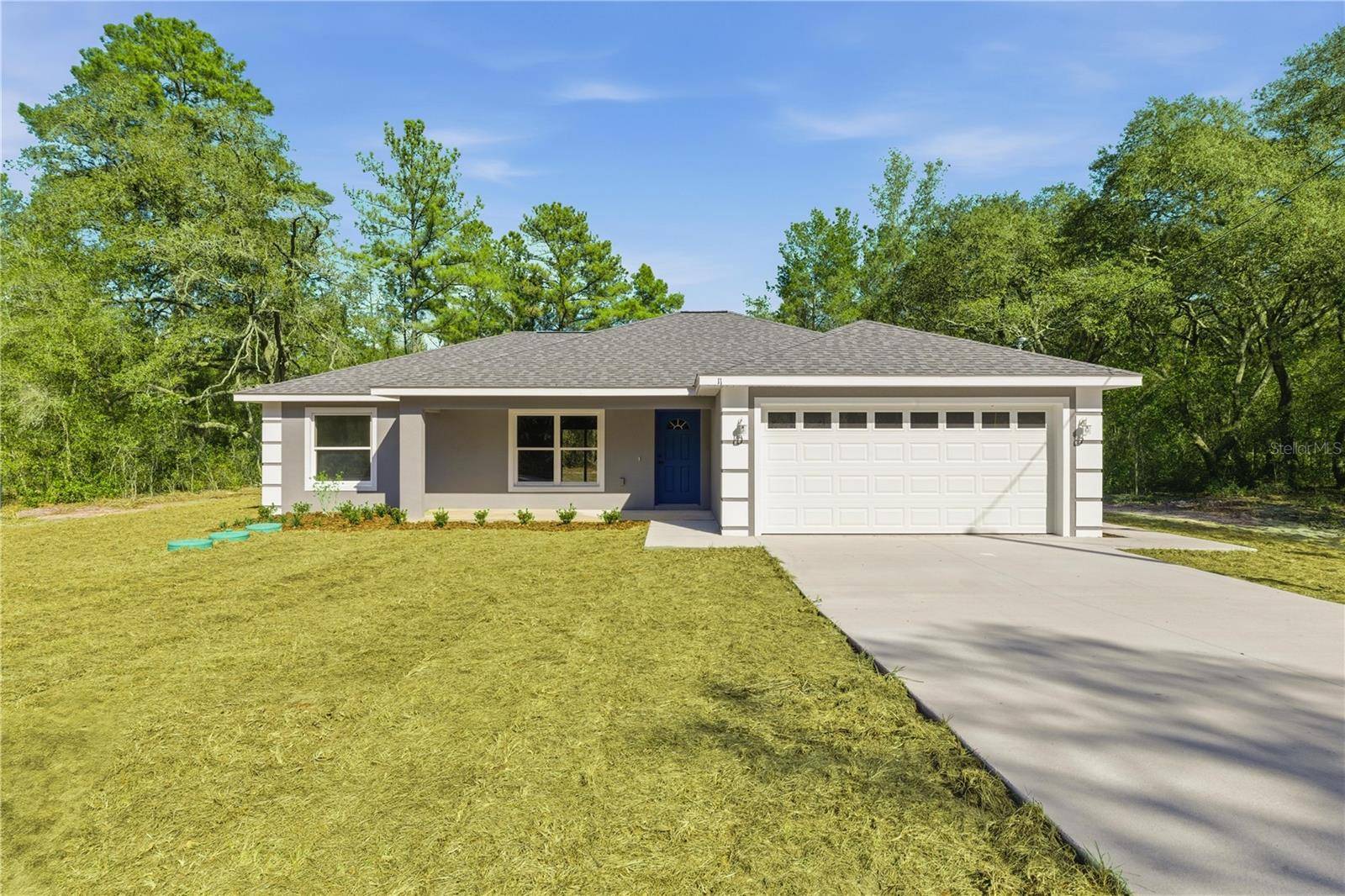 40 BAY DR, Ocklawaha, FL 32179