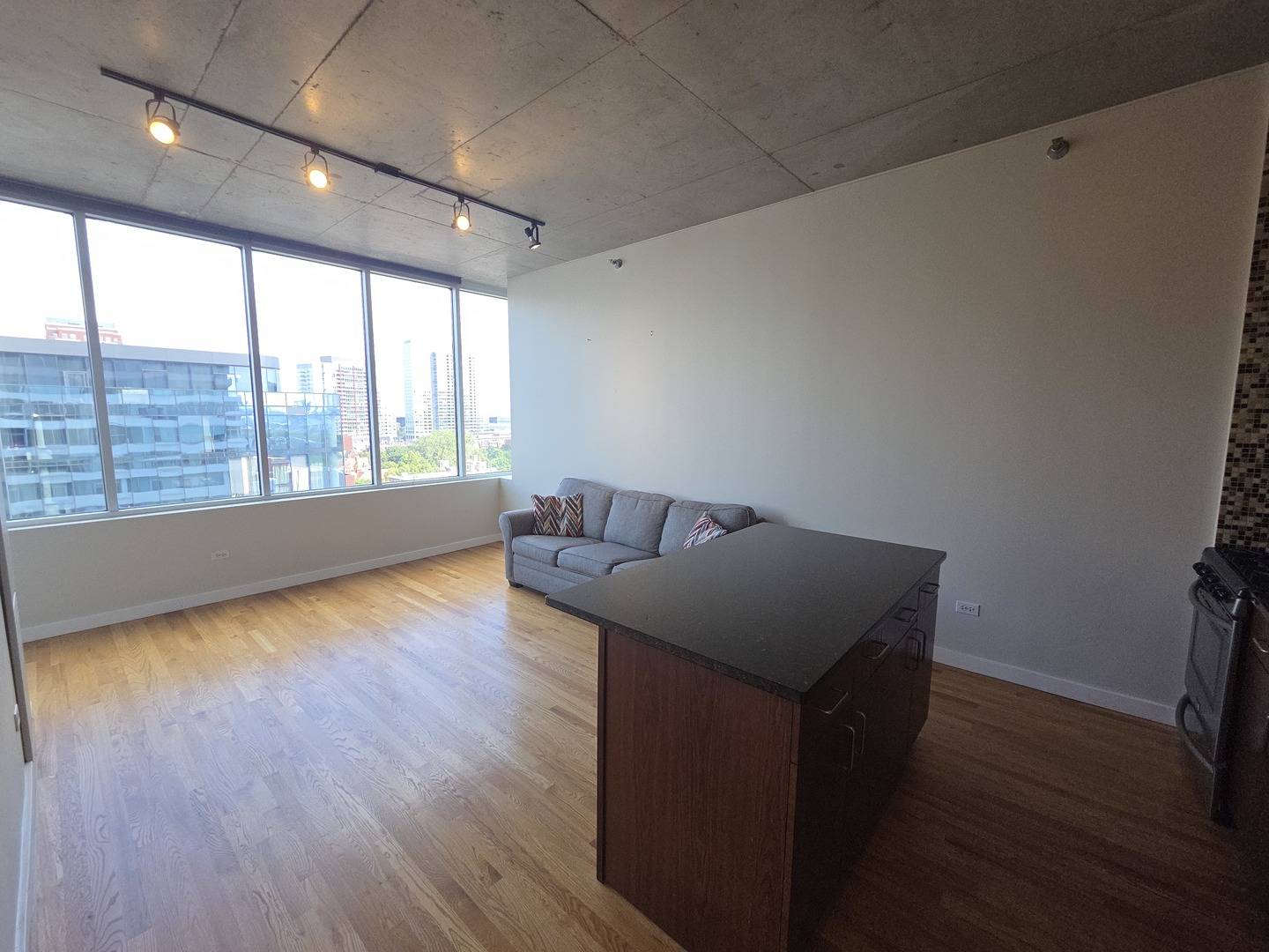 1720 S Michigan AVE #1106, Chicago, IL 60616