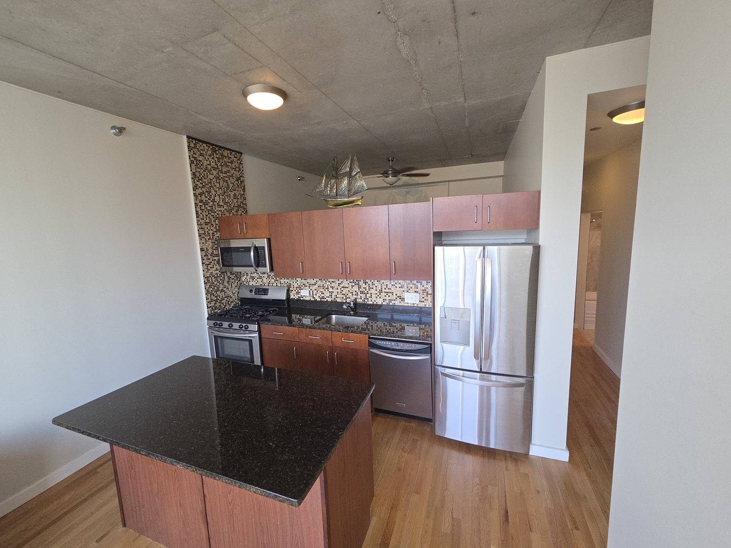 1720 S Michigan AVE #1106, Chicago, IL 60616