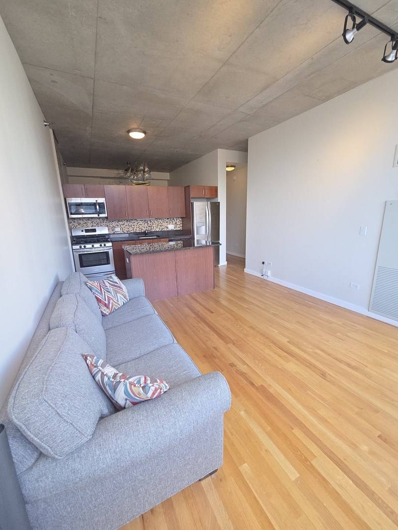 1720 S Michigan AVE #1106, Chicago, IL 60616