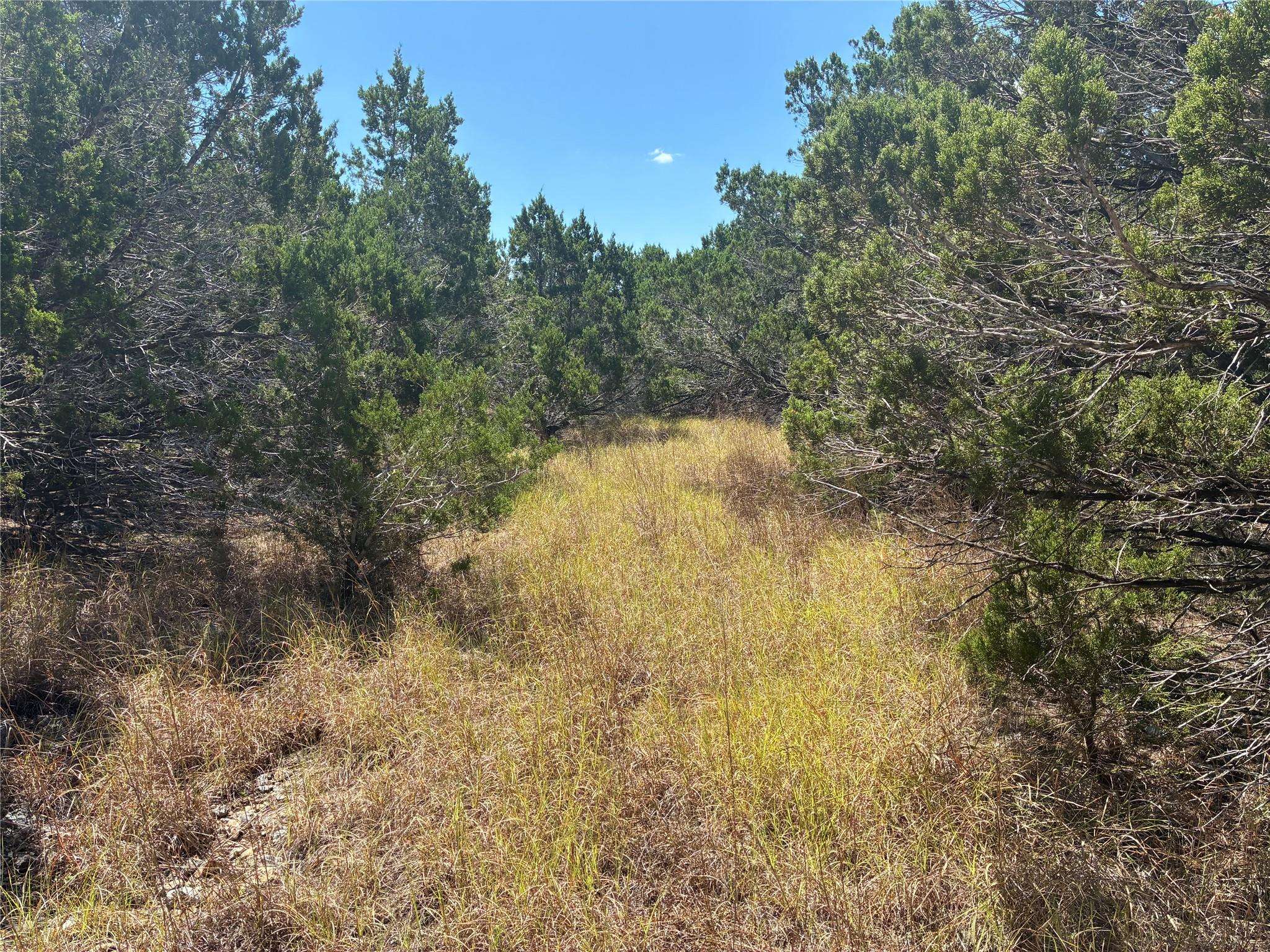 317 W Headwaters Ranch RD, Kendalia, TX 78027
