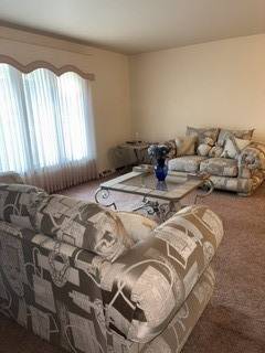 22520 Pleasant DR, Richton Park, IL 60471