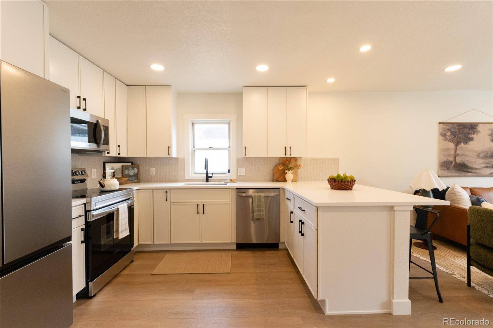 1073 S Raleigh ST, Denver, CO 80219