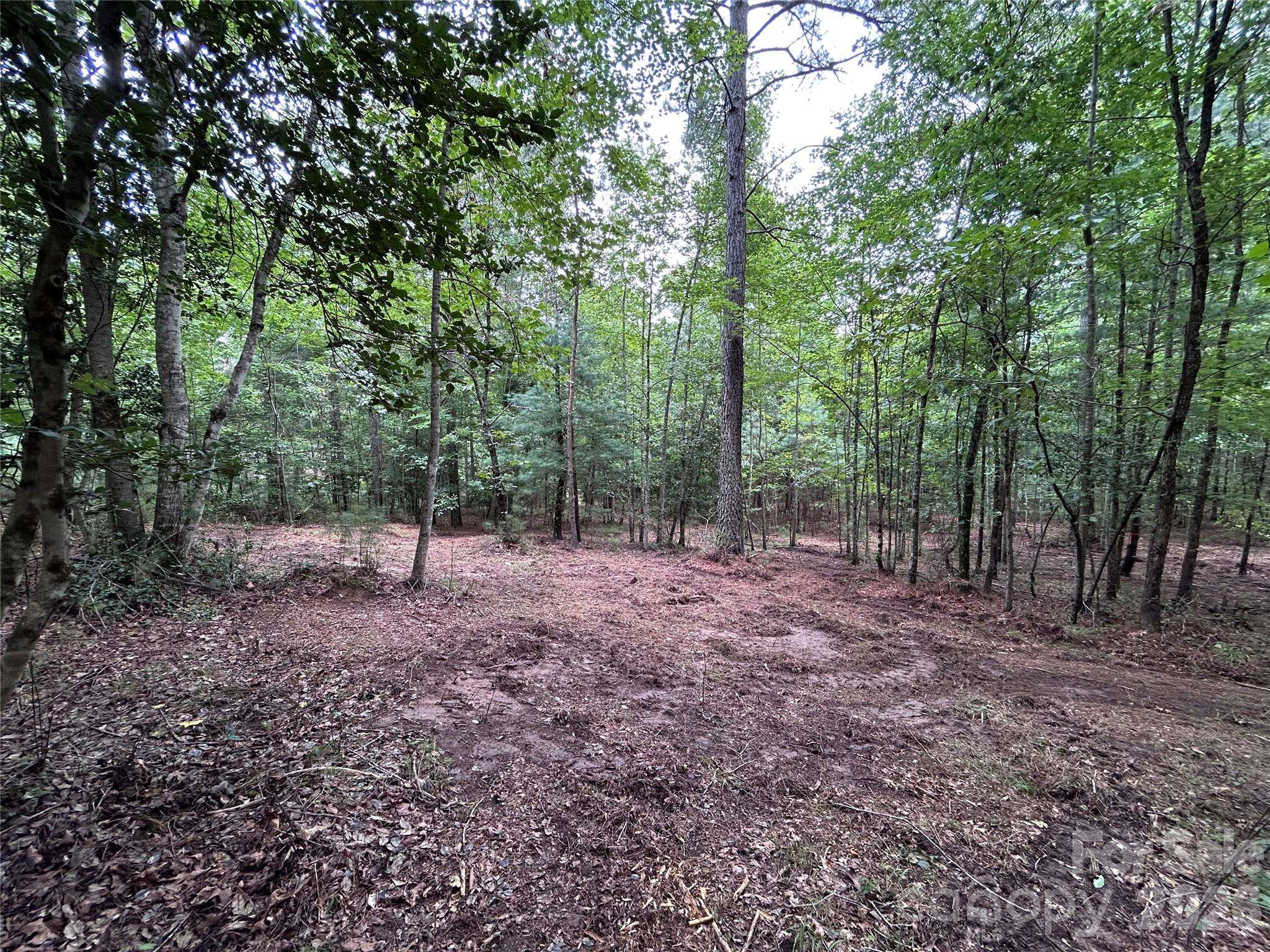 1036 W Paradise Harbor DR, Connelly Springs, NC 28612