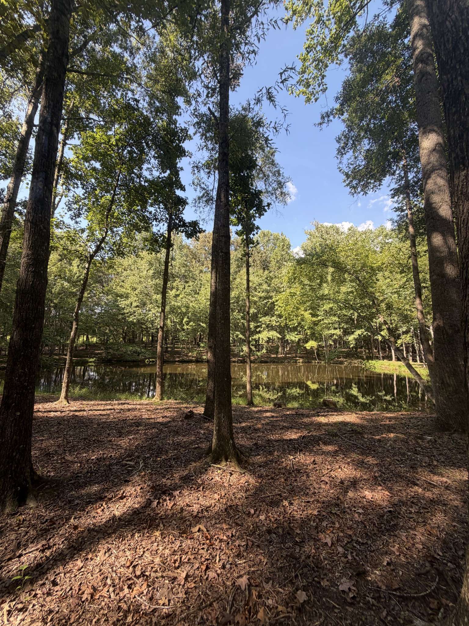 0 Lakewood Park Dr, Beechgrove, TN 37018