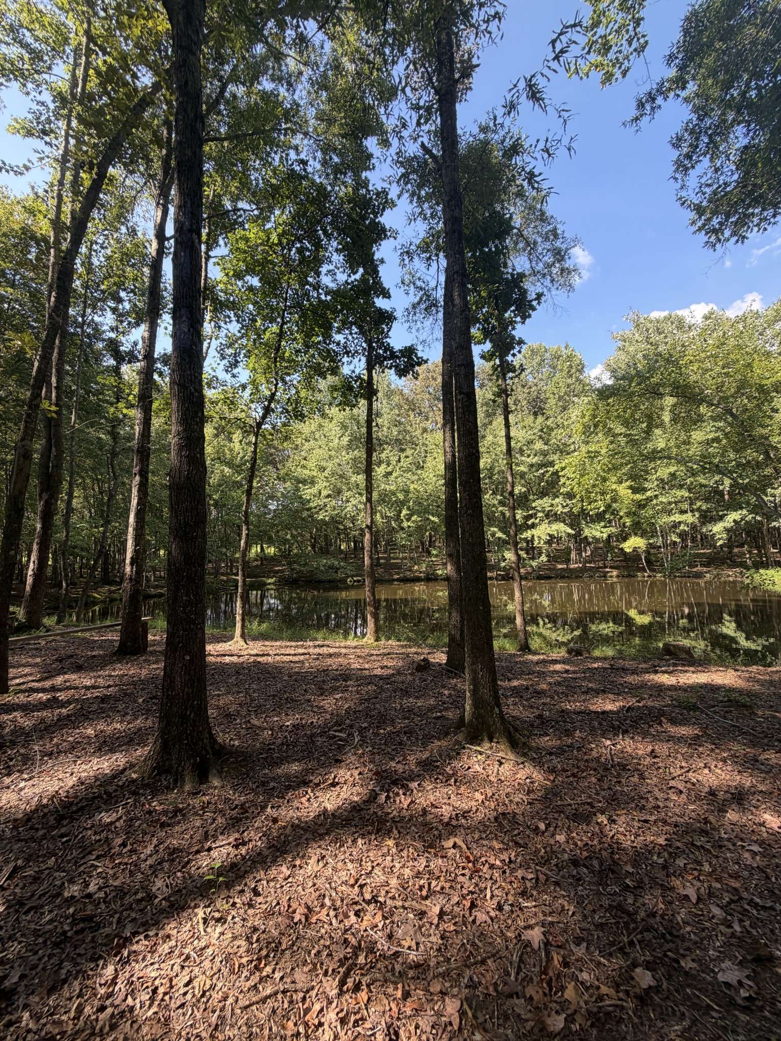 0 Lakewood Park Dr, Beechgrove, TN 37018
