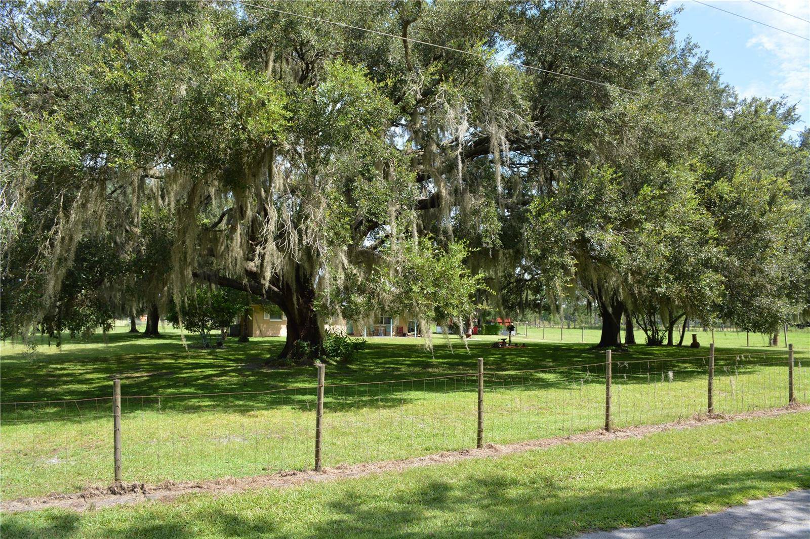 7826 CR 736, Center Hill, FL 33514