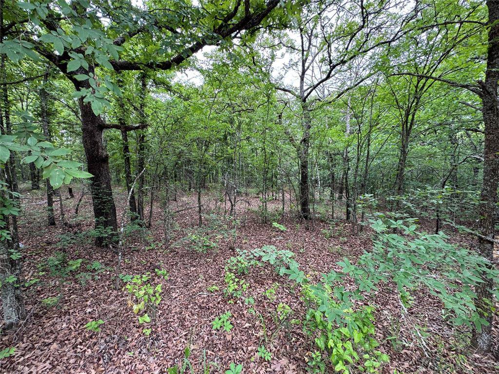 365 RD, Wewoka, OK 74884