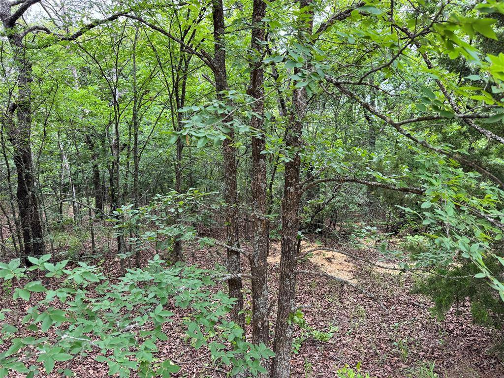 365 RD, Wewoka, OK 74884