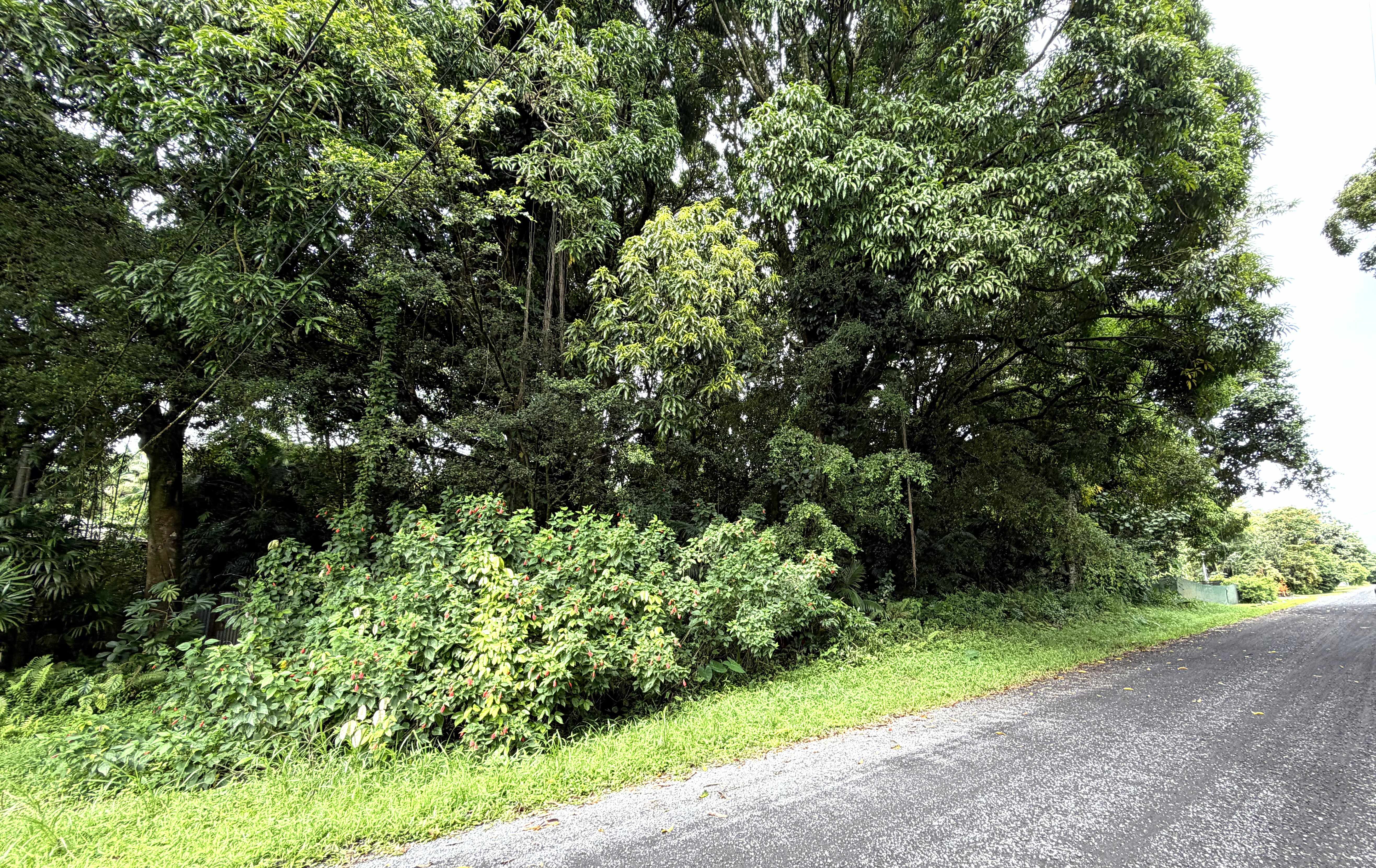 20TH AVE, Keaau, HI 96749