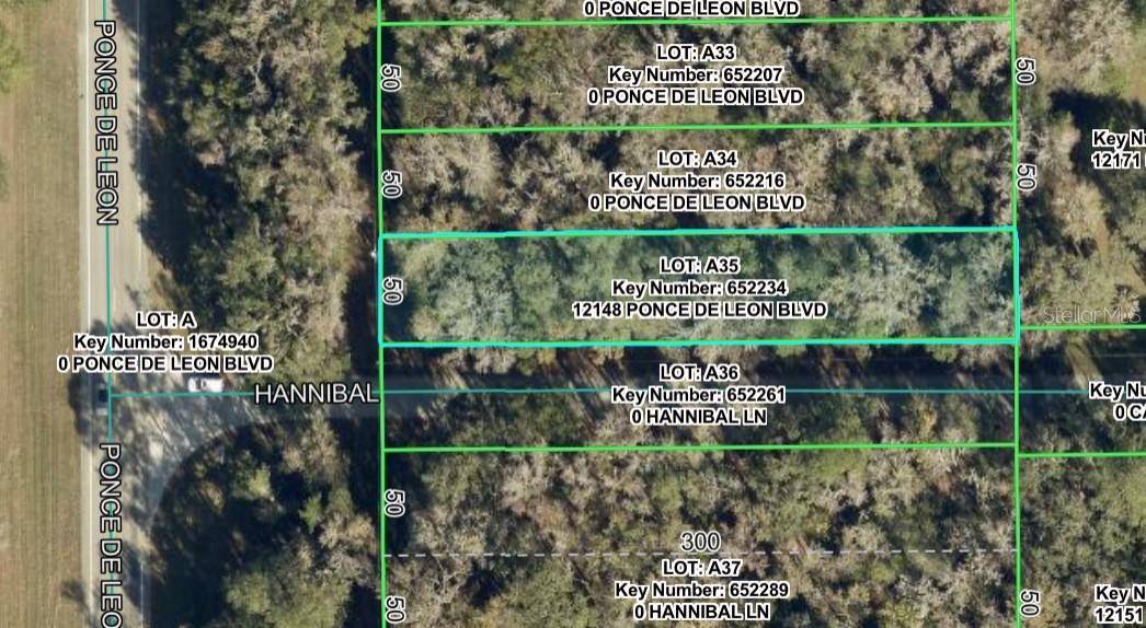 12148 PONCE DE LEON BLVD, Brooksville, FL 34601