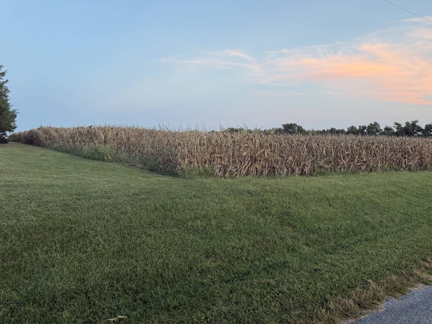 000 Coffee RD, Raleigh, IL 62977