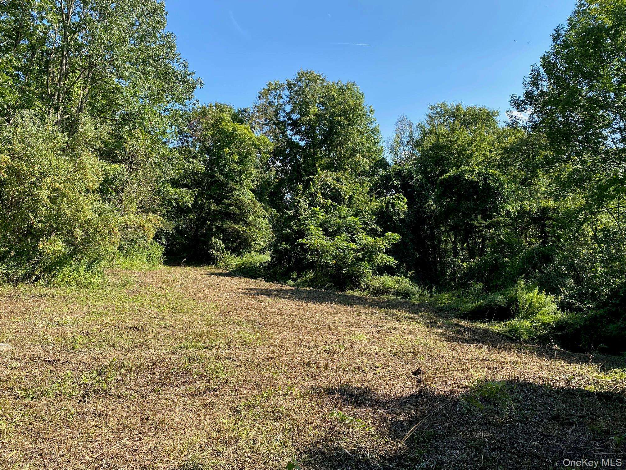 Jerry, Wassaic, NY 12592